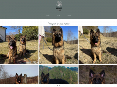 fotografdaimond.no snapshot