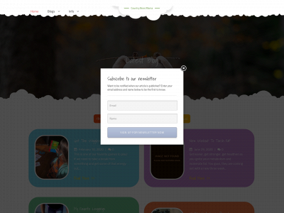 countrybossmama.com snapshot