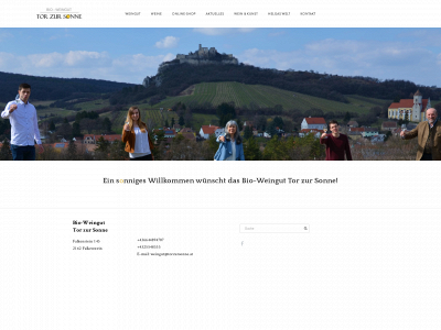 torzursonne.at snapshot