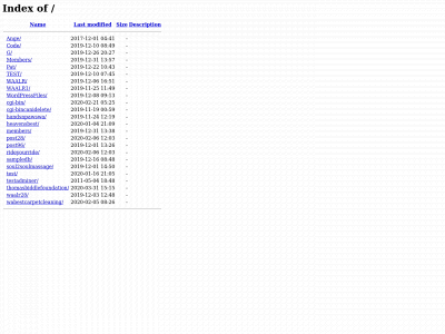 lxl.git.mybluehost.me snapshot