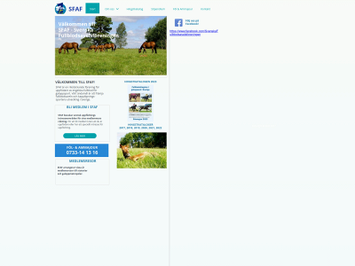 sfaf.se snapshot