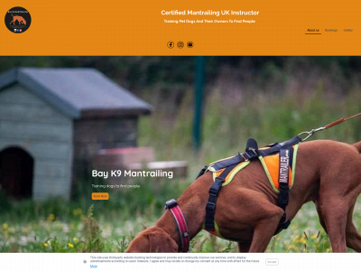 bayk9mantrailing.co.uk snapshot
