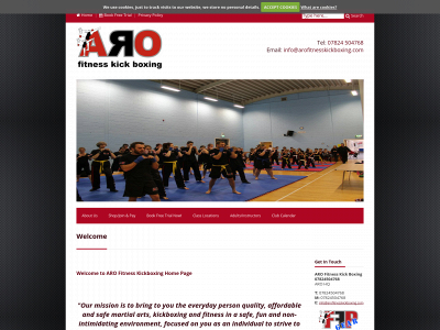arofitnesskickboxing.com snapshot