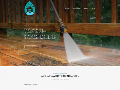 tempest-powerwashing.com snapshot