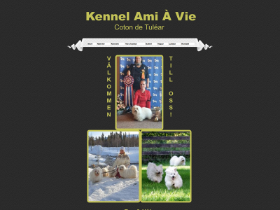 amiavie.se snapshot