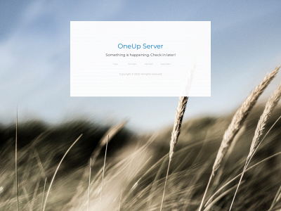 oneupserver.com snapshot