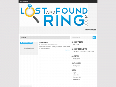 rentmetaldetectors.com snapshot