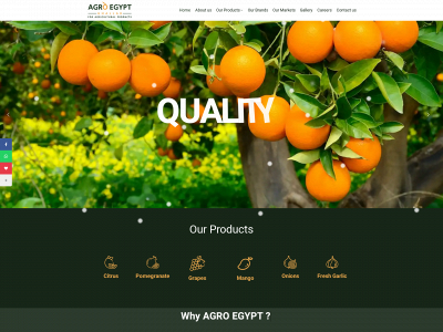agroegypt.com snapshot