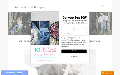 andreadurhamdesigns.weebly.com snapshot