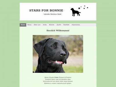 labradorstars.de snapshot