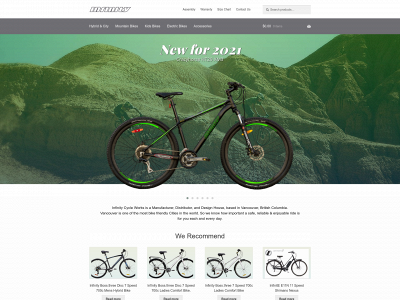 infinitycycleworks.com snapshot