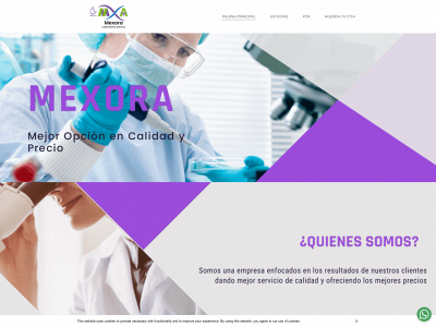 labmexora.com.mx snapshot