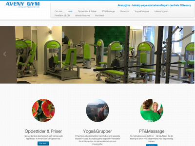 avenygym.se snapshot