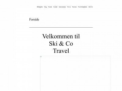 skiogco.dk snapshot