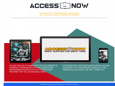 accessnow.store snapshot