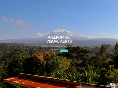 visualaerts.be snapshot