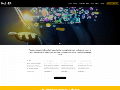 palmdm.com snapshot