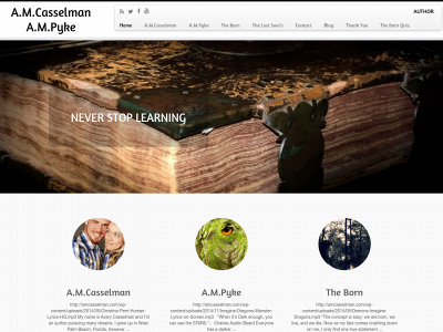 amcasselman.com snapshot