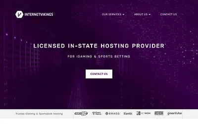 internetvikings.se snapshot
