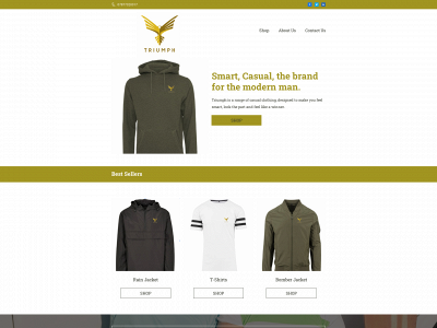 triumph-clothing.co.uk snapshot