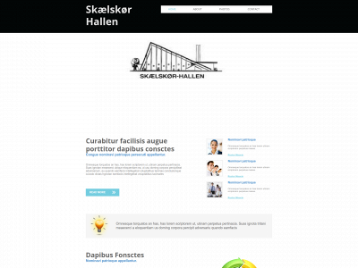 skaelskoerhallen.dk snapshot