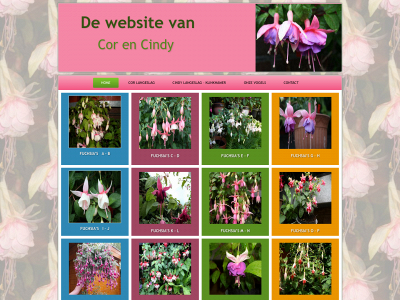 corencindy.nl snapshot