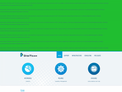digiteamco.com snapshot