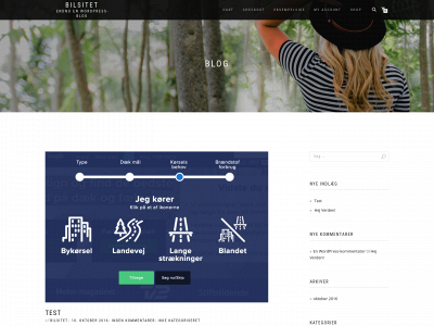bilsitet.dk snapshot