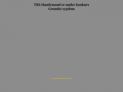 danskhandygroup.dk snapshot