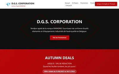 dgs-corporation.be snapshot