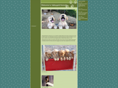 valleygoldretriever.com snapshot