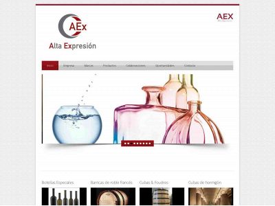 aexpresion.com snapshot
