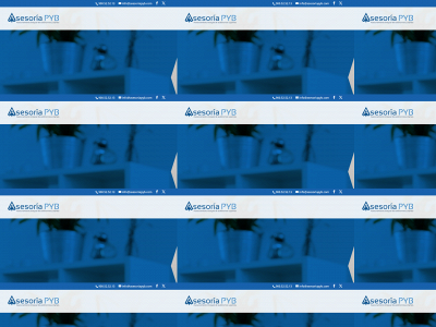 asesoriapyb.com snapshot