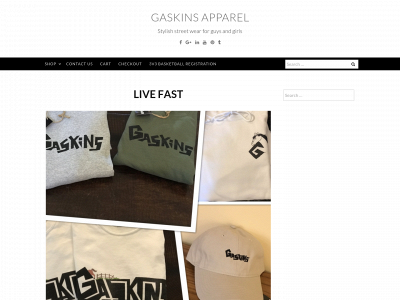 gaskinsapparel.com snapshot