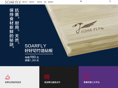 soarfly.co snapshot
