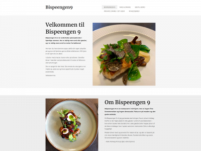 bispeengen9.dk snapshot