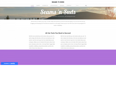 seamsnsuds.weebly.com snapshot