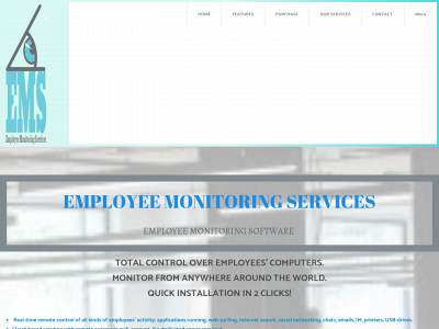 emservices.online snapshot