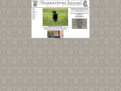 skeppartorps.se snapshot