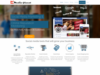 media-fluent.com snapshot