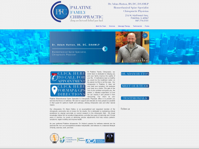 palatinefamilychiropractic.com snapshot