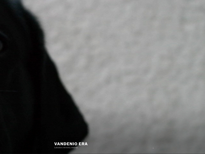 vandenioera.lt snapshot