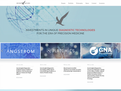 greybirdventures.com snapshot