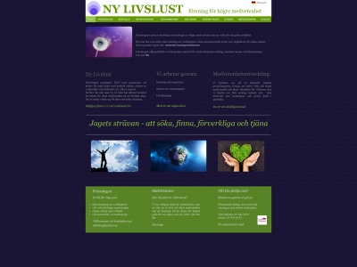 nylivslust.se snapshot