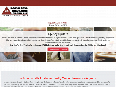 www.loboscoinsurance.com snapshot