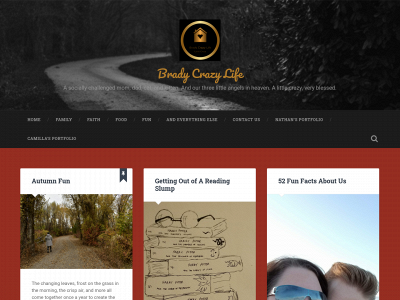 bradycrazylife.com snapshot