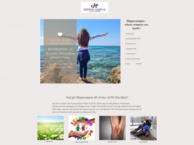 hippocampus.se snapshot