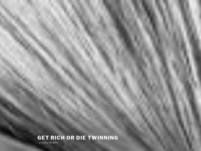 getrichordietwinning.com snapshot