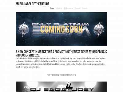 www.onlyplatinumedm.com snapshot