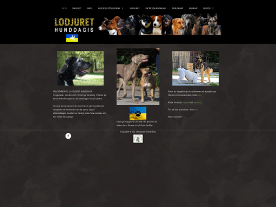 lodjuret.com snapshot